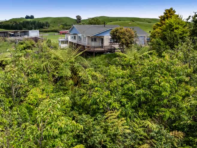 131 Tiromoana Road, Maata