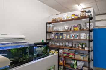 Prestige space in CBD Te Awamutu