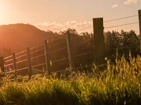 23 Edwin Road, Karangahake