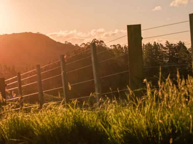 23 Edwin Road, Karangahake