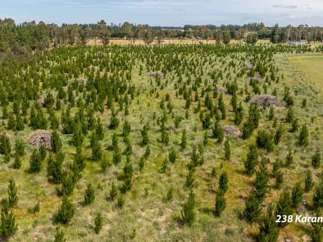 238 - 240 Karanga Road, Dunsandel