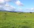 178 Oturu Road, Kaitaia, Far North, Northland