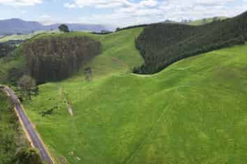 Lot 2 Te Kopia Road, Waikite Valley