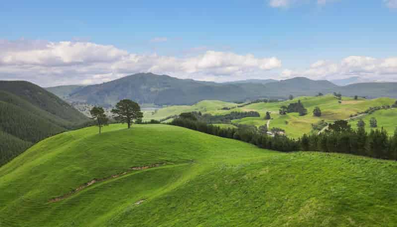 Lot 2 Te Kopia Road, Waikite Valley
