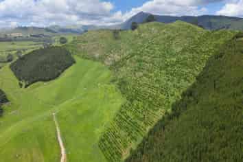 Lot 2 Te Kopia Road, Waikite Valley