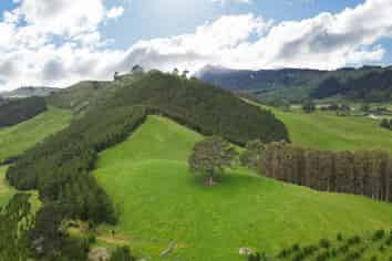 1448 Te Kopia Road, Waikite Valley