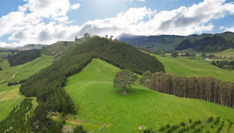 1448 Te Kopia Road, Waikite Valley