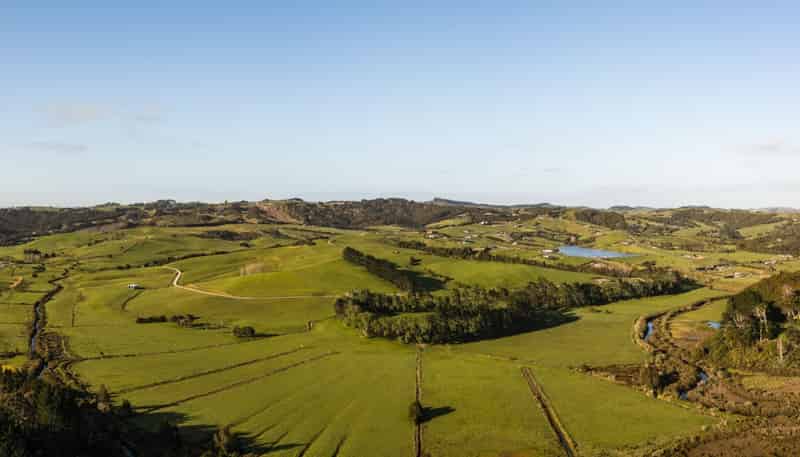 10 Wallbank Way, Mangawhai