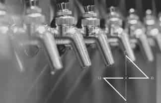 Well Established Boutique and Craft Brewery For Sale