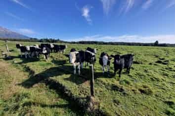 584 York Road, Midhirst