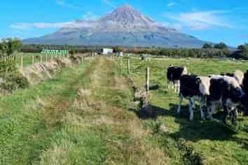 584 York Road, Midhirst