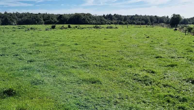 584 York Road, Midhirst