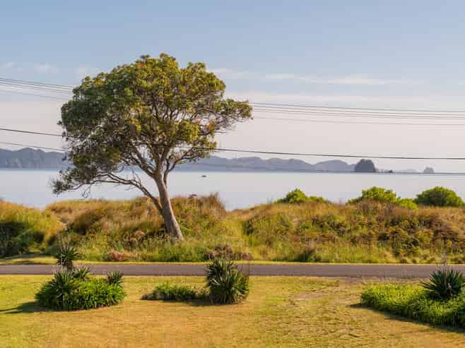 44 Marine Parade, Cooks Beach