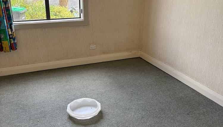 72 St Leonards Drive, Saint Leonards