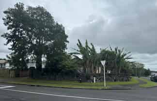 1 Frobisher Way, Clendon Park