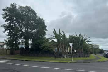 1 Frobisher Way, Clendon Park