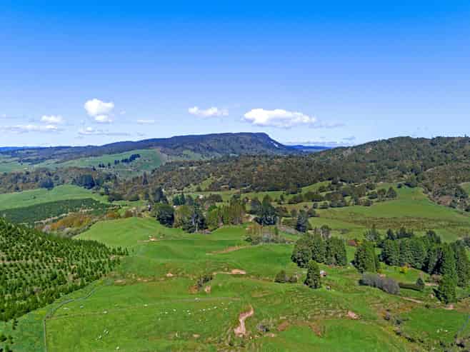 1271 Rakauroa Road, Matawai