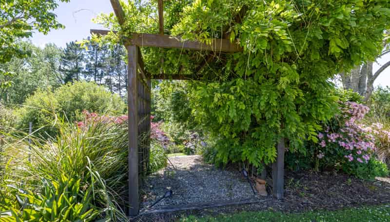 774 Koheroa Road, Mercer
