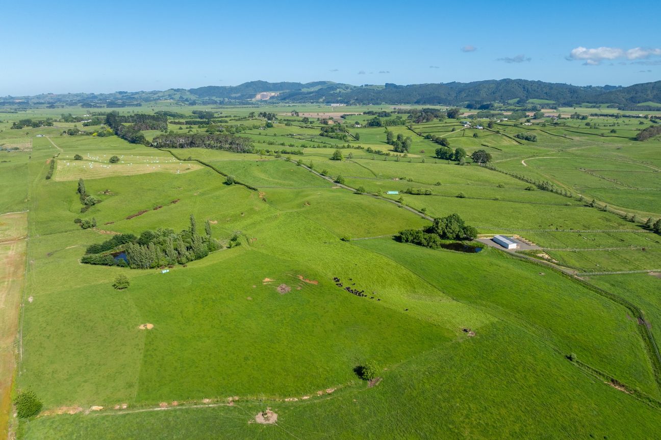 Superb location, multiple options - Widok 3
