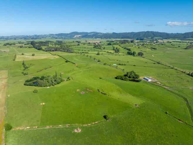 774 Koheroa Road, Mercer