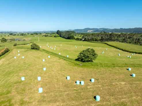 774 Koheroa Road, Mercer