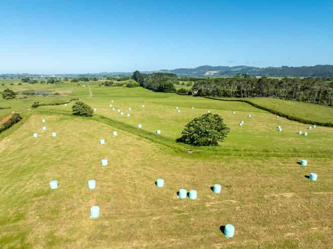 774 Koheroa Road, Mercer