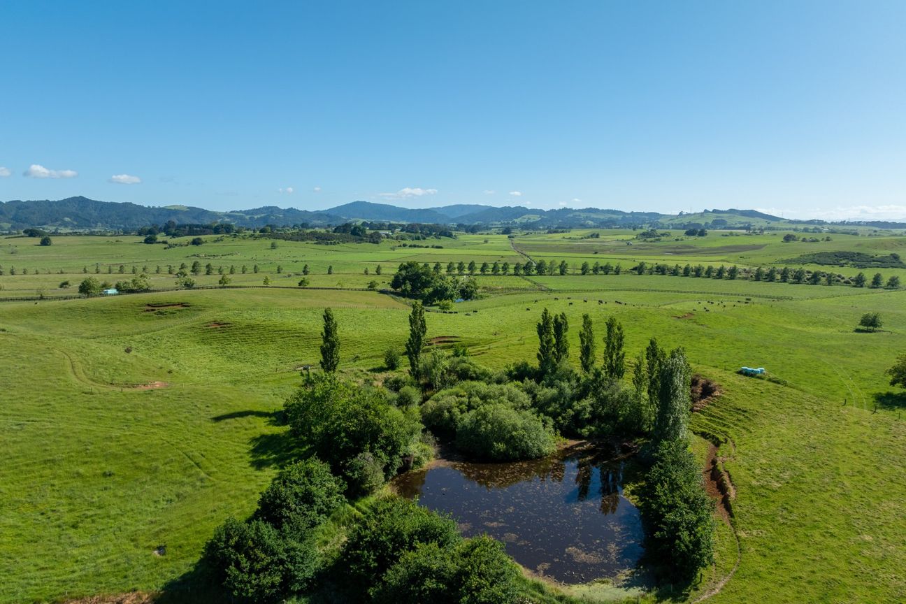 Superb location, multiple options - Widok 6