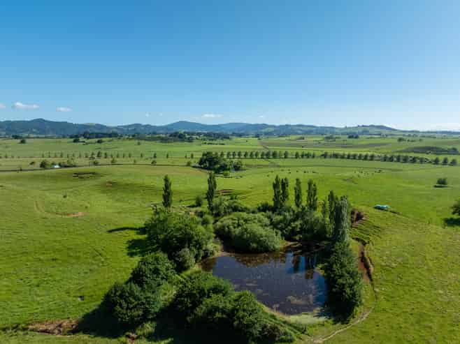 774 Koheroa Road, Mercer