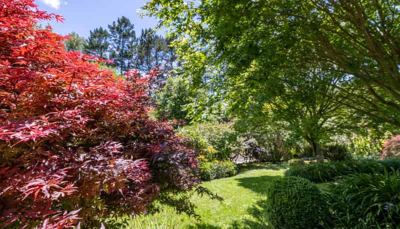774 Koheroa Road, Mercer