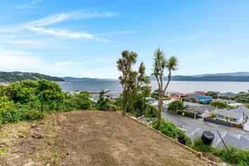 24 Ferry Street, Seatoun