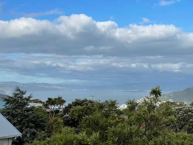 74 Mitchell Street, Brooklyn