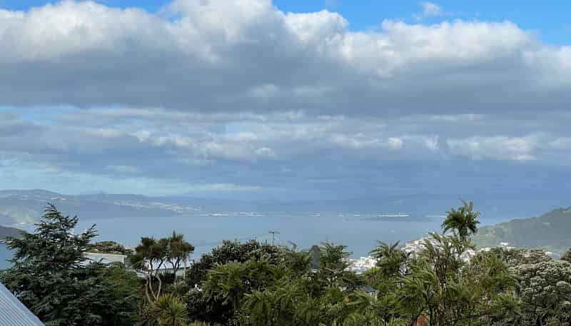 74 Mitchell Street, Brooklyn