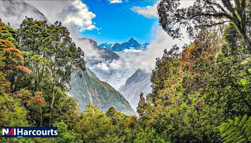 Betsey Jane Eatery & Bar, Fox Glacier