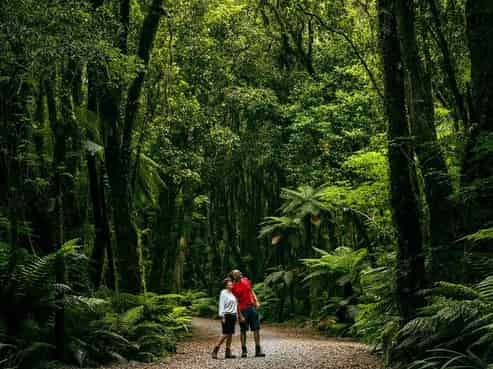 A Positive Change Plus a Rewarding Opportunity