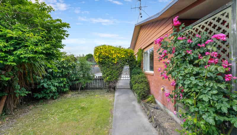 29 Wither Road, Witherlea