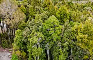 8 Harrison Place, KUMARA JUNCTION