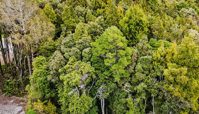 8 Harrison Place, KUMARA JUNCTION