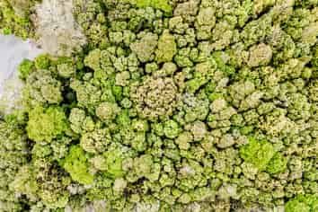 8 Harrison Place, KUMARA JUNCTION