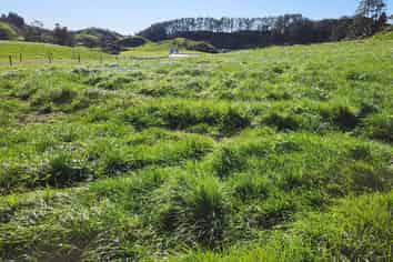 Lot 1, 724 Upland Road Lower, Egmont Village