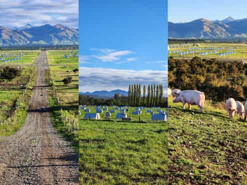 724 Medbury Road, Hawarden