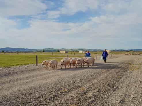 724 Medbury Road, Hawarden