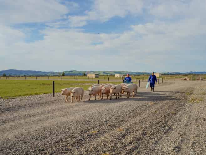 724 Medbury Road, Hawarden