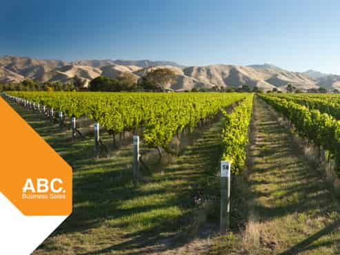 NZ's Wine Heritage: 1 of Waipara's Oldest Wineries