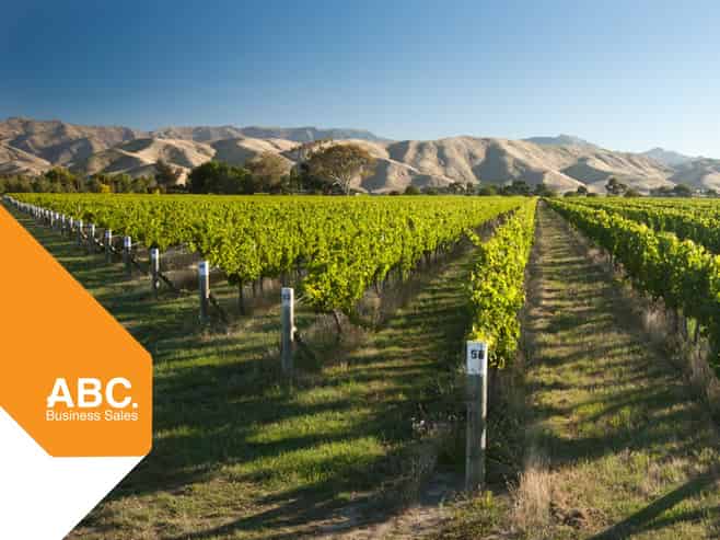 NZ's Wine Heritage: 1 of Waipara's Oldest Wineries