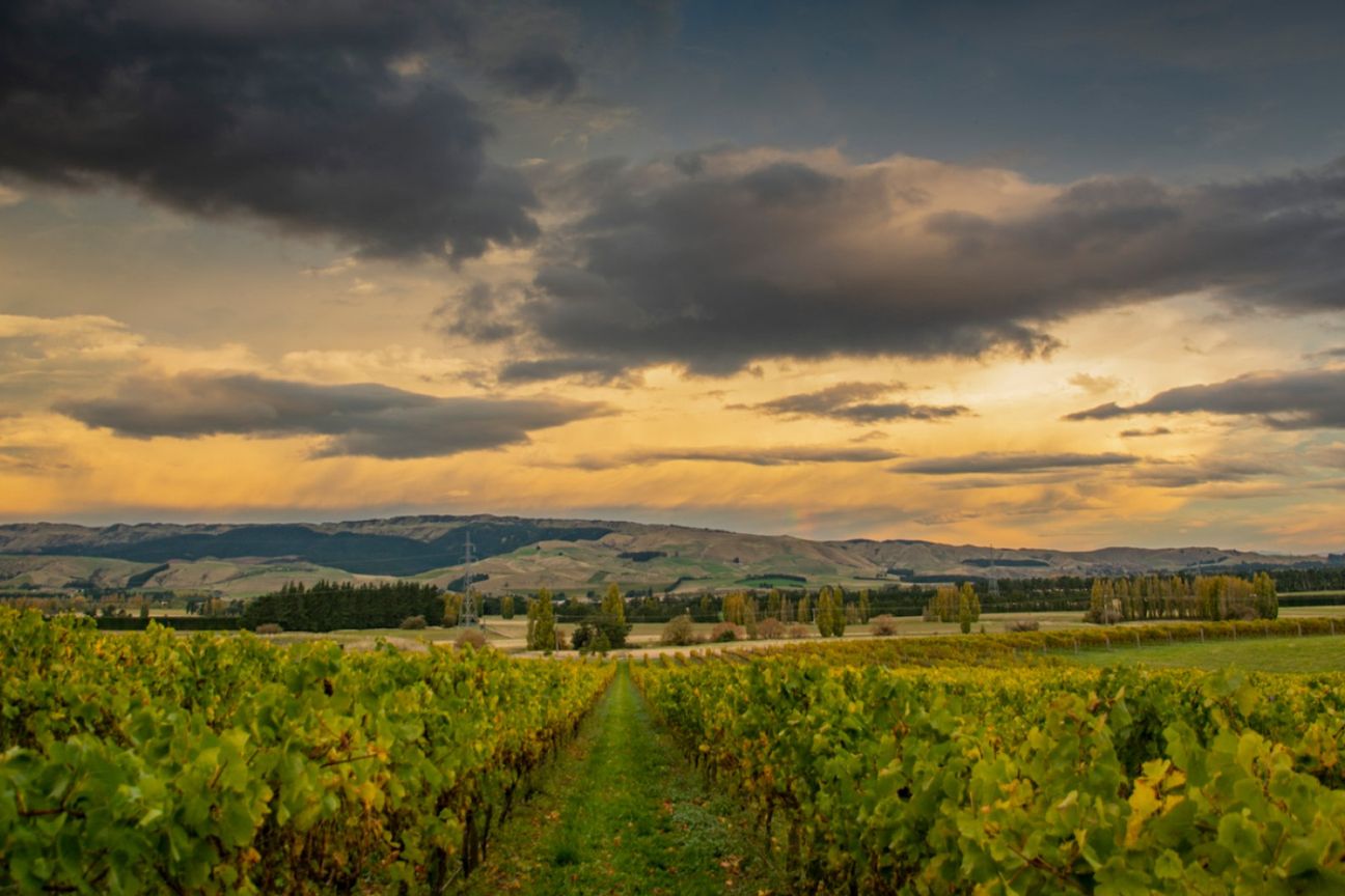 NZ's Wine Heritage: One of Waipara's Oldest - Aanzicht 3