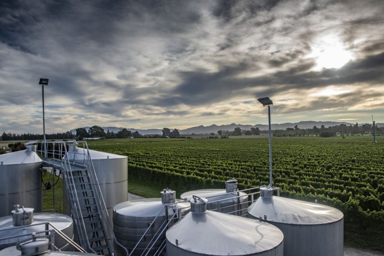 NZ's Wine Heritage: One of Waipara's Oldest - Aanzicht 2