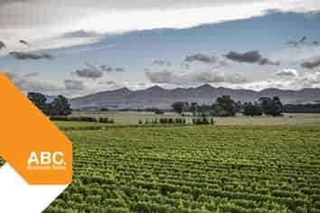 NZ's Wine Heritage: One of Waipara's Oldest 