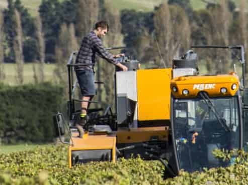 NZ's Wine Heritage: One of Waipara's Oldest 