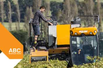 NZ's Wine Heritage: One of Waipara's Oldest 