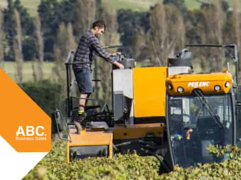 NZ's Wine Heritage: One of Waipara's Oldest 